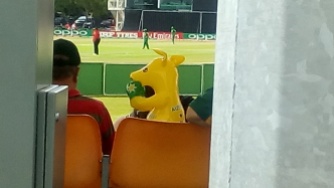 An Australia fan